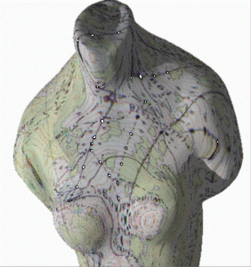 Torso transparent