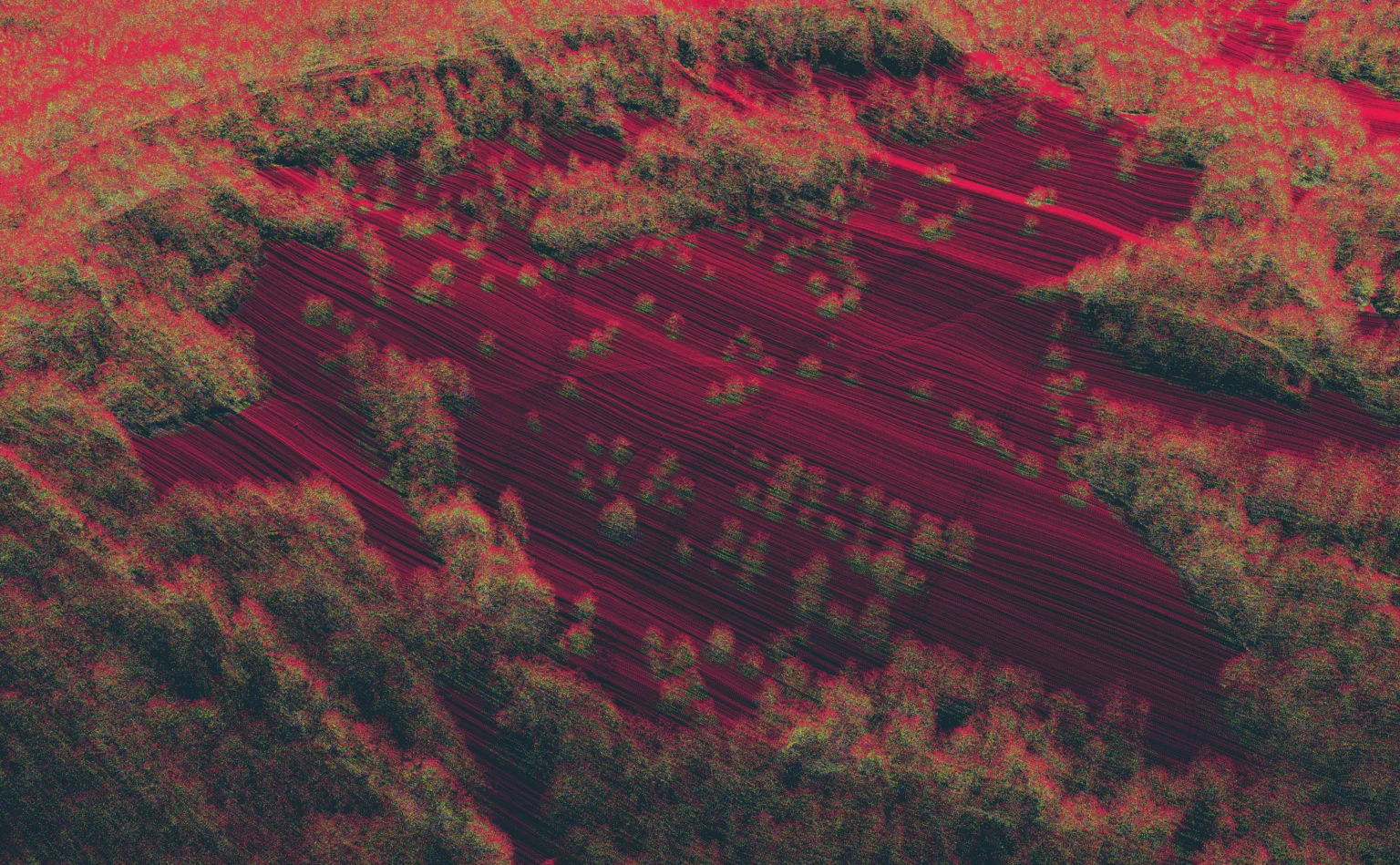 Farbliche Darstellung unterschiedlicher Laserpuls-Rückgabewerte in einer LiDAR-Punktwolke